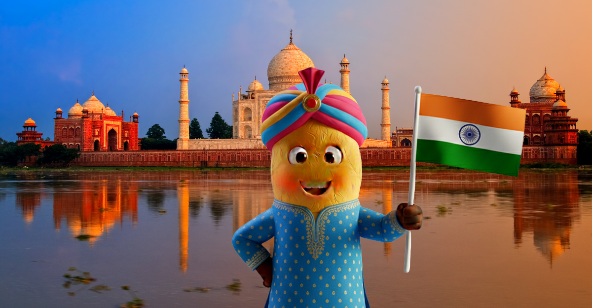 HİNDİSTAN - TURİSTİK