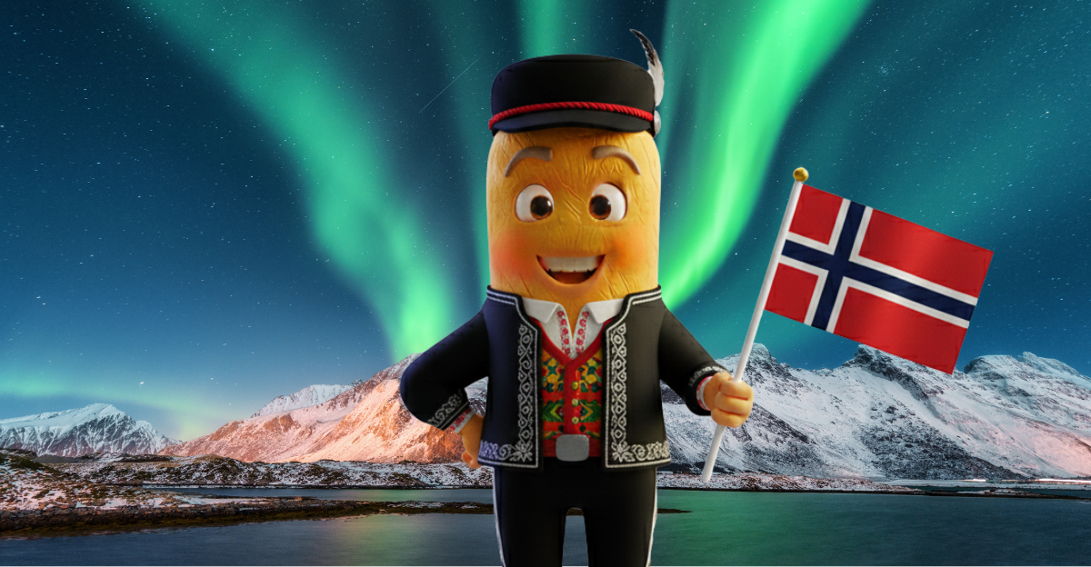 NORVEÇ - TURİSTİK